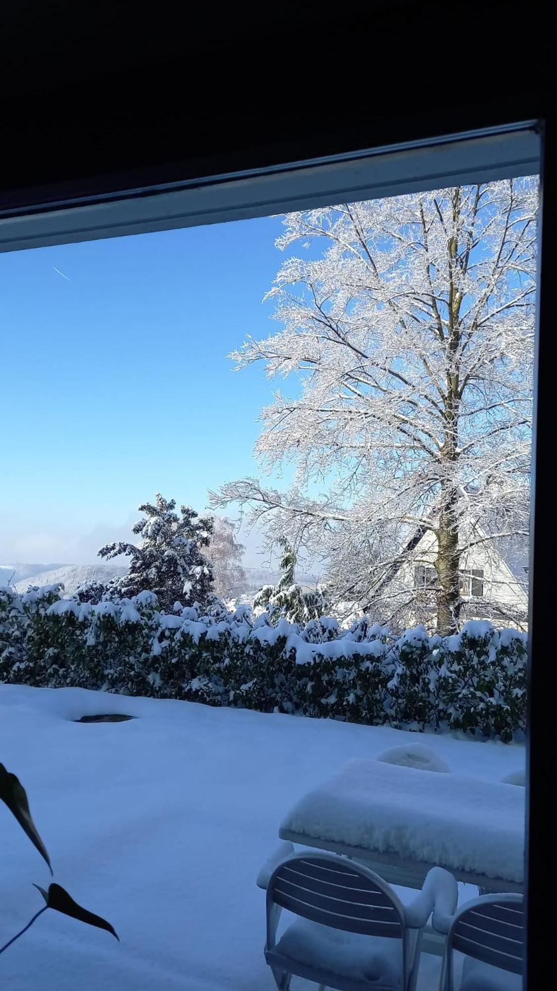 Appartement Haus Am Wald à Hillscheid Extérieur photo